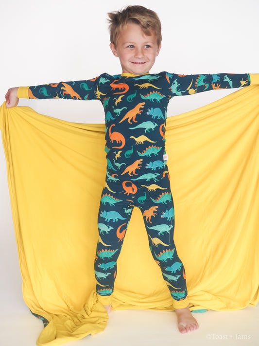 Dinomite Blanket